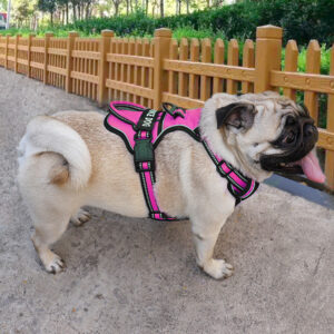 1679556666716_feb7207d-5893-4392-a2b9-1e3f912a555d.jpg FreeMotion - Personalised Y-Shape Dog Harness