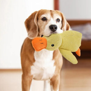 2_741a56aa-8818-4b6a-954e-da5bb6631d6d.jpg DuckBuddy - Plush Dog Toy