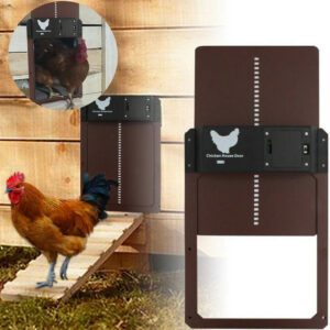 automaticchickencoopdoor.webp.jpeg HenSafe – Automatic Chicken Coop Door