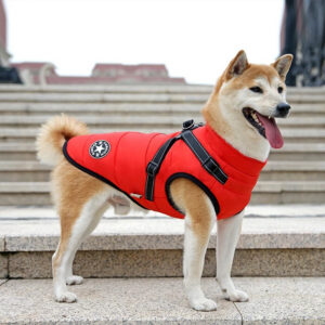 description-image-14.jpg All-Wheather Dog Jacket