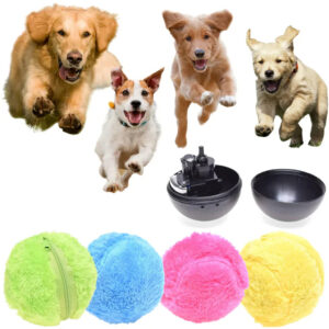 mainpic_1024x1024_1_1024x1024_58db9363-f198-425a-8523-50395cb1aa00_1.webp.jpeg ActiveBall - Self Rolling Ball